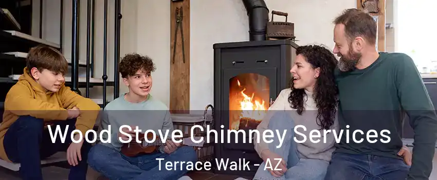 Wood Stove Chimney Services Terrace Walk - AZ