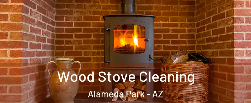 Wood Stove Cleaning Alameda Park - AZ