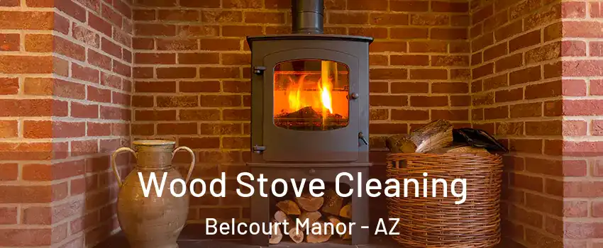 Wood Stove Cleaning Belcourt Manor - AZ