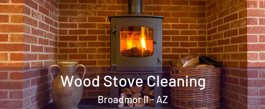 Wood Stove Cleaning Broadmor II - AZ