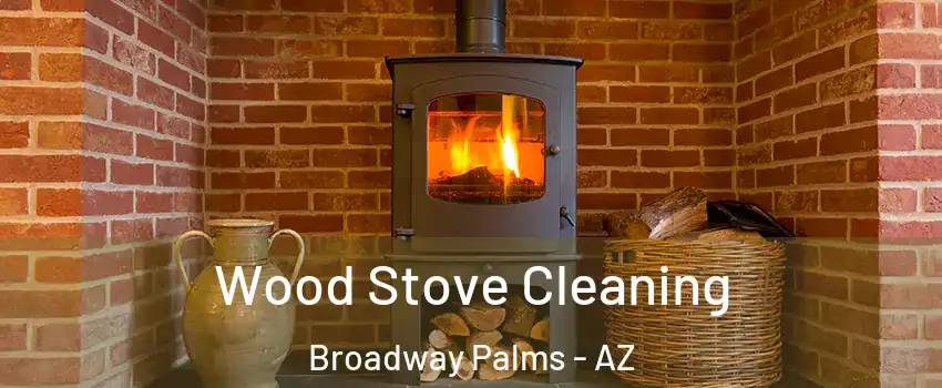 Wood Stove Cleaning Broadway Palms - AZ