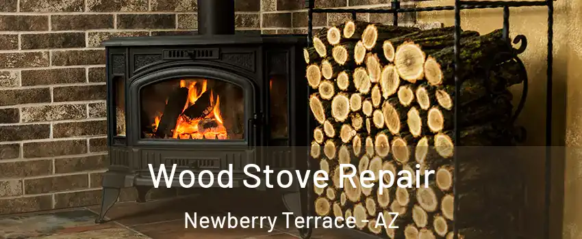 Wood Stove Repair Newberry Terrace - AZ